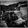 pinhole-9